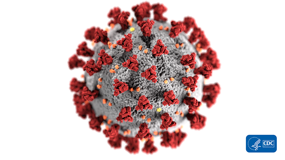 Corona-Virus (COVID-19 bzw. SARS-COV-2)